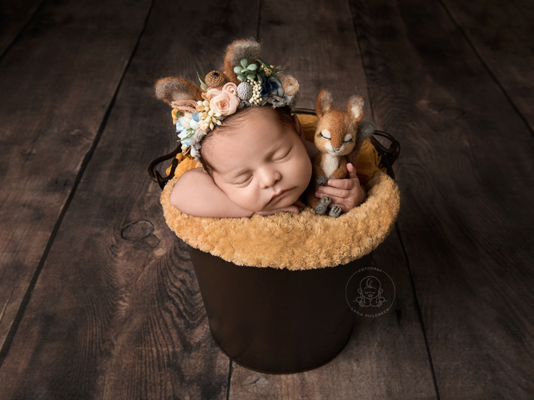 Nyfödd liten flicka ligger över kanten på en brun hink. På huvudet har hon ett diadem med ekorröron och i ena handen håller hon en liten ekorre i miniatyr.