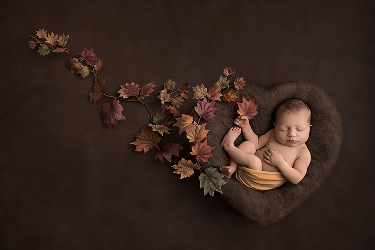 Nyföddbilden som gav fotograf Laila Villebeck SM-guld i nyföddfotografering 2020