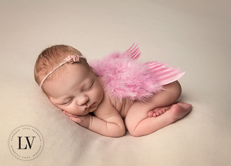 Baby angel with pink wings